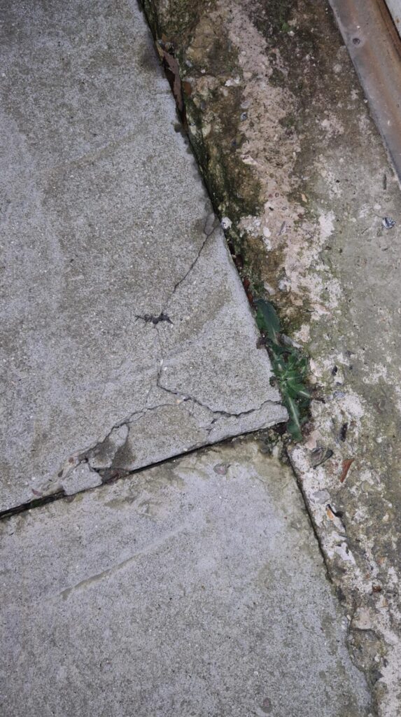 Batir En Maitrisant Agrandissement Deville Les Rouen 